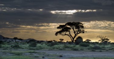 Auringonlasku savannilla Keniassa.