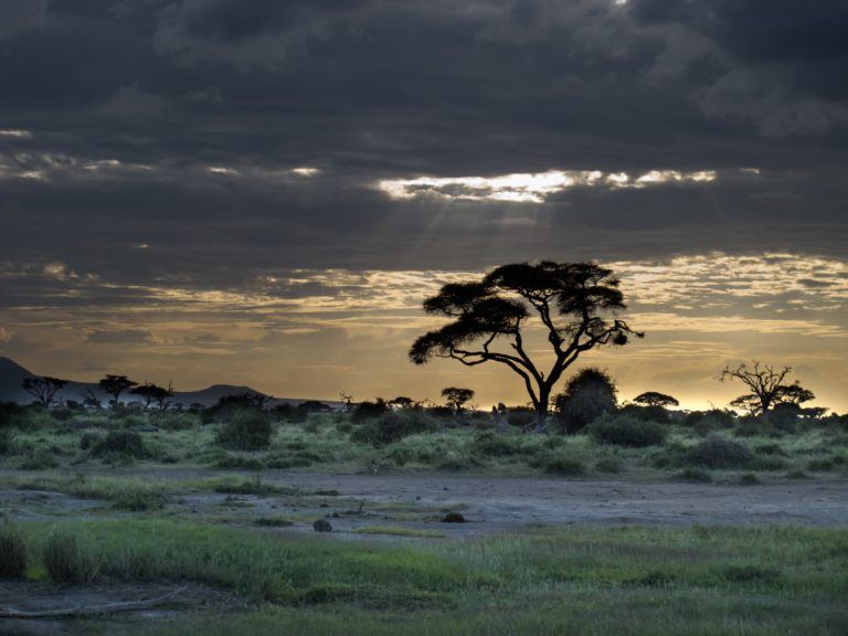 Auringonlasku savannilla Keniassa.