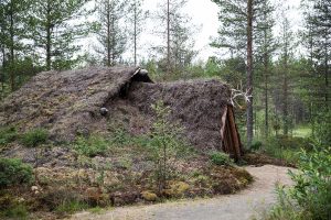 Yli-Iin kivikautinen asumus